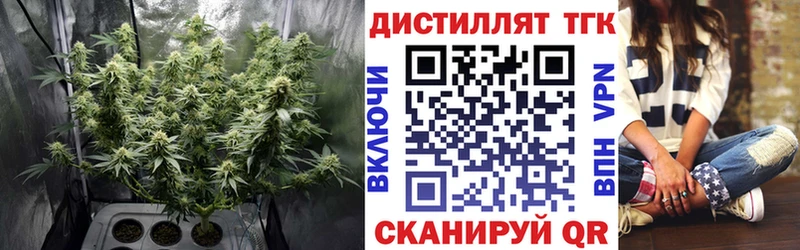 Купить закладки  Ворсма  ТГК гашишное масло 