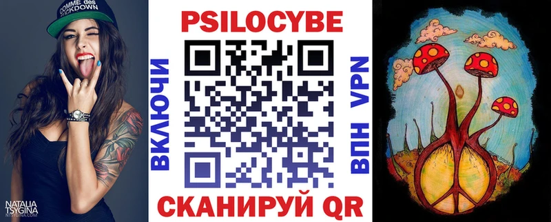 Купить  Ворсма  Псилоцибиновые грибы Psilocybe 